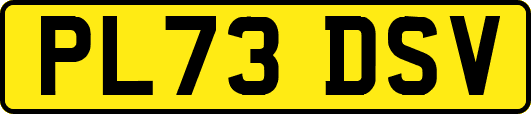 PL73DSV