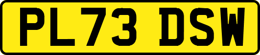 PL73DSW