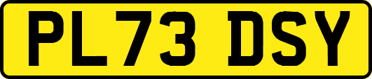 PL73DSY