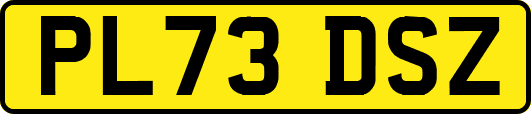 PL73DSZ