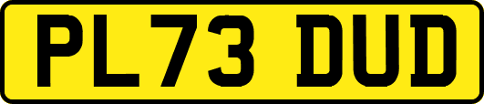 PL73DUD