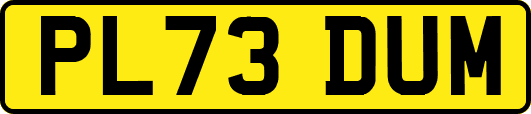 PL73DUM