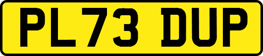 PL73DUP