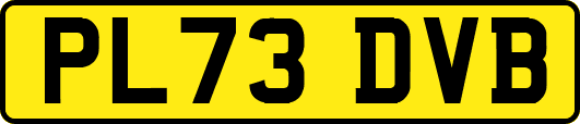 PL73DVB