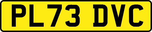PL73DVC