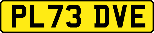 PL73DVE