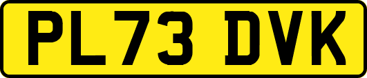 PL73DVK