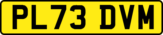 PL73DVM