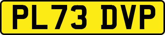 PL73DVP