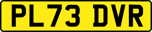 PL73DVR