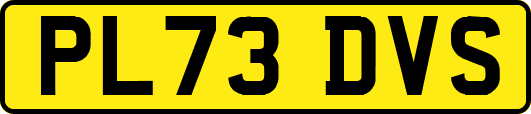 PL73DVS