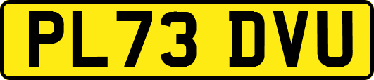 PL73DVU