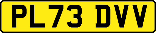 PL73DVV