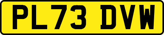 PL73DVW