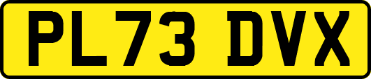 PL73DVX