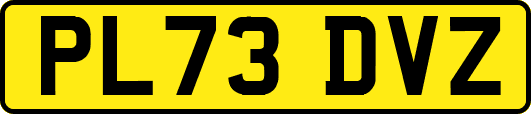 PL73DVZ