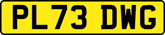 PL73DWG