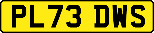 PL73DWS
