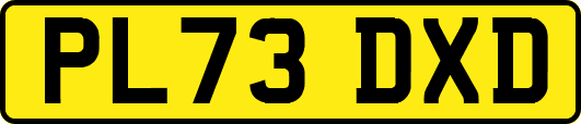 PL73DXD