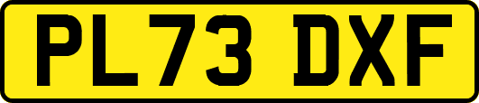 PL73DXF