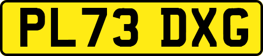 PL73DXG