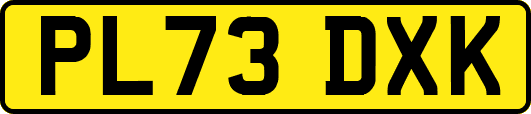 PL73DXK