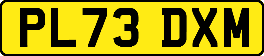PL73DXM