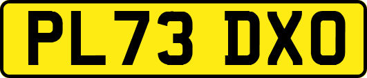 PL73DXO