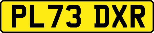 PL73DXR
