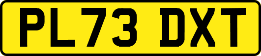 PL73DXT