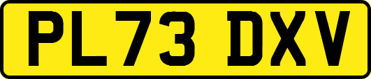 PL73DXV