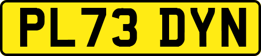 PL73DYN