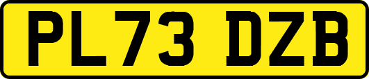 PL73DZB
