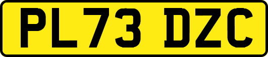 PL73DZC
