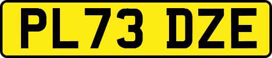 PL73DZE