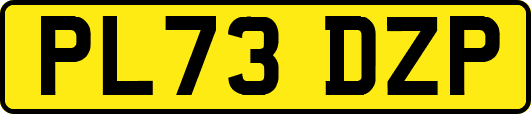 PL73DZP