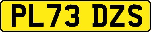 PL73DZS
