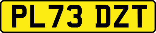 PL73DZT