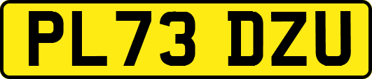 PL73DZU