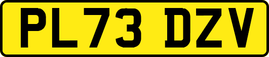 PL73DZV
