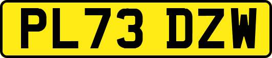 PL73DZW