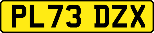 PL73DZX