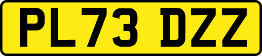 PL73DZZ
