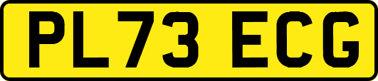PL73ECG