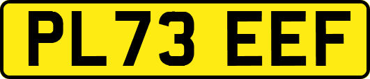 PL73EEF