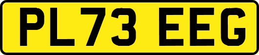 PL73EEG
