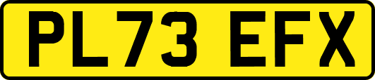 PL73EFX