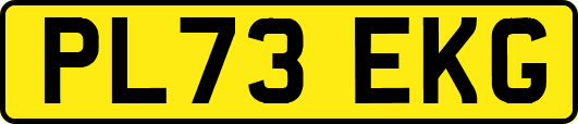PL73EKG