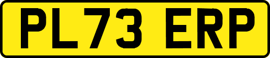 PL73ERP