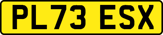 PL73ESX